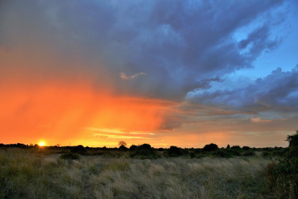 Thebe River Safaris Kasane Dış mekan fotoğraf