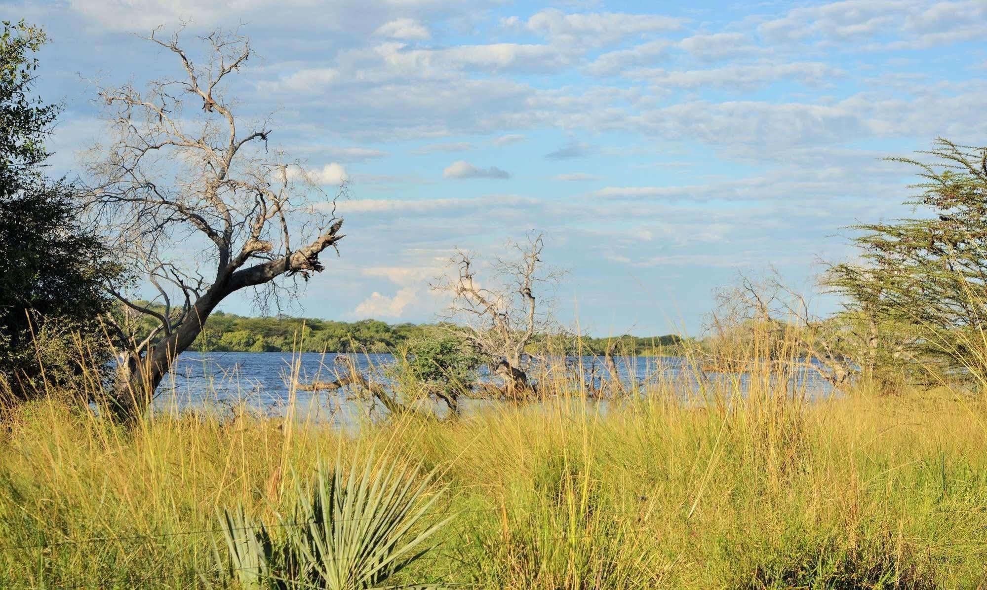 Thebe River Safaris Kasane Dış mekan fotoğraf